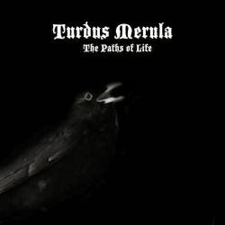 Turdus Merula : The Paths of Life